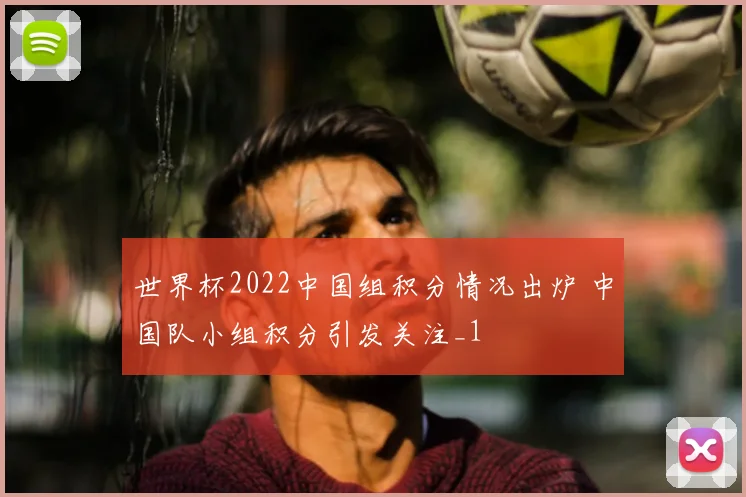 世界杯2022中国组积分情况出炉 中国队小组积分引发关注_1