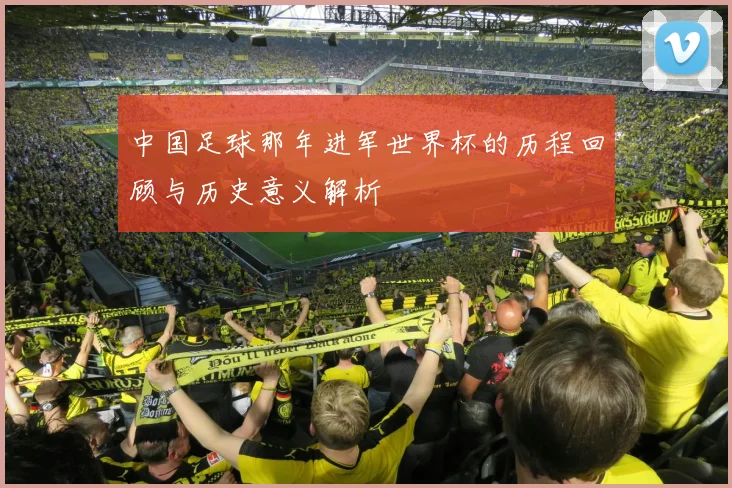 中国足球那年进军世界杯的历程回顾与历史意义解析