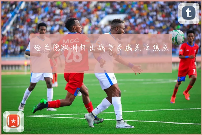 哈兰德欧洲杯出战与否成关注焦点