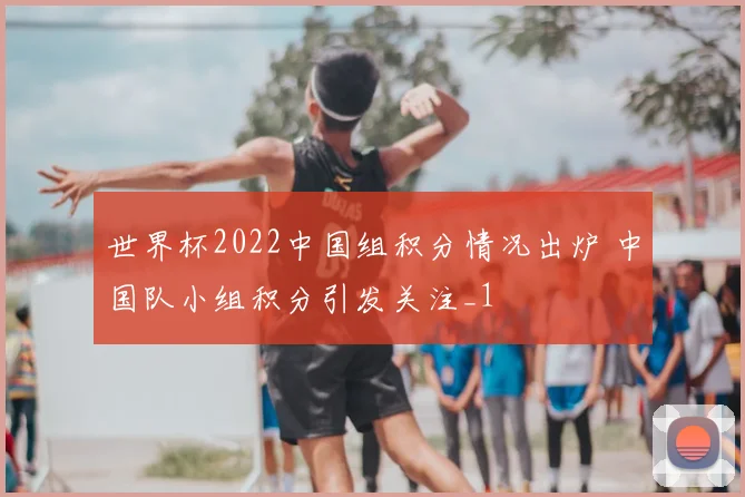 世界杯2022中国组积分情况出炉 中国队小组积分引发关注_1