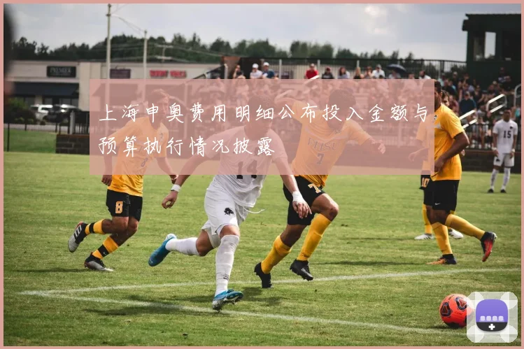 上海申奥费用明细公布投入金额与预算执行情况披露