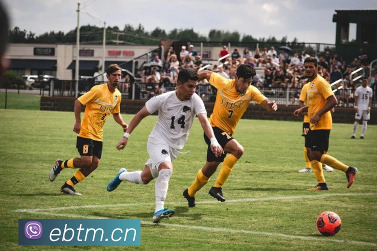 多媒体互动体验